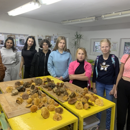 Podzim na školní zahradě