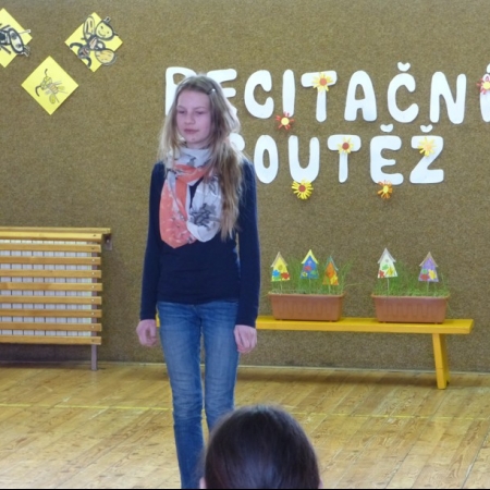 Obrázek 1136