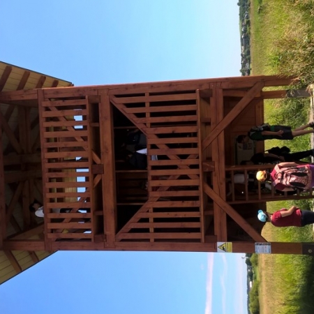 Obrázek 1203