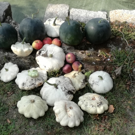 Odpoledne na školní zahradě s rodiči 13. 9. 2018