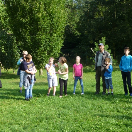 Obrázek 2365