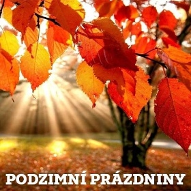 Příspěvek 155