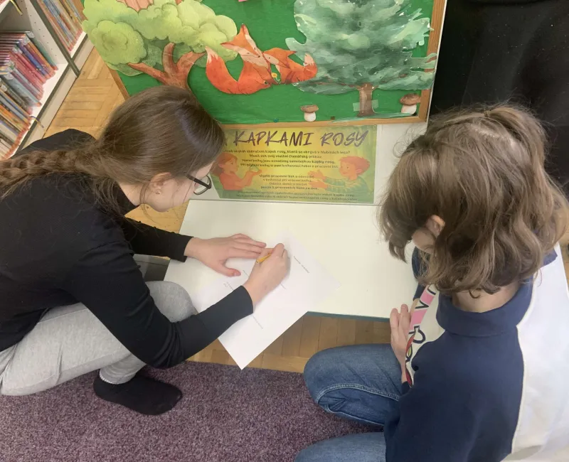 Návštěva městské knihovny