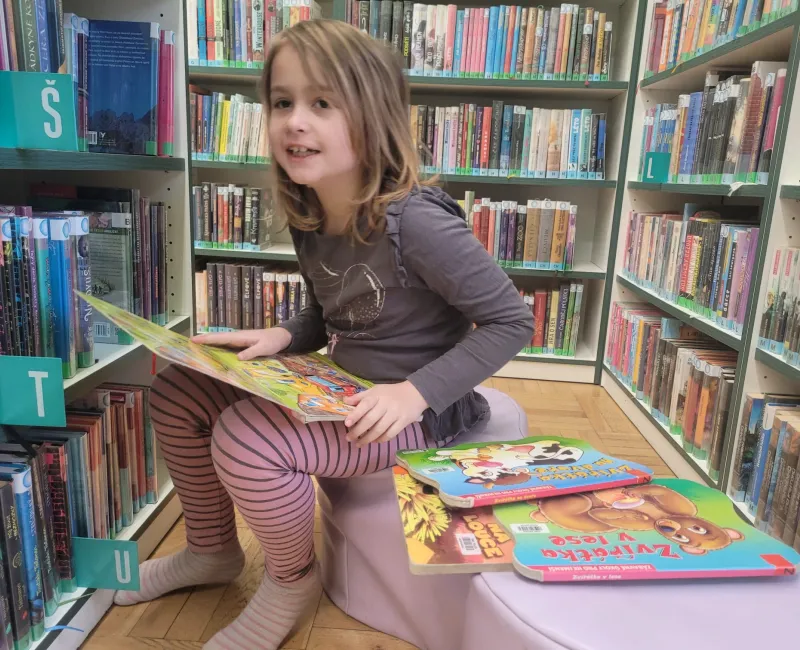 Návštěva městské knihovny