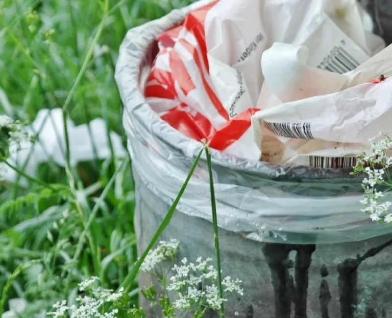 image_2025-11-09_223223200