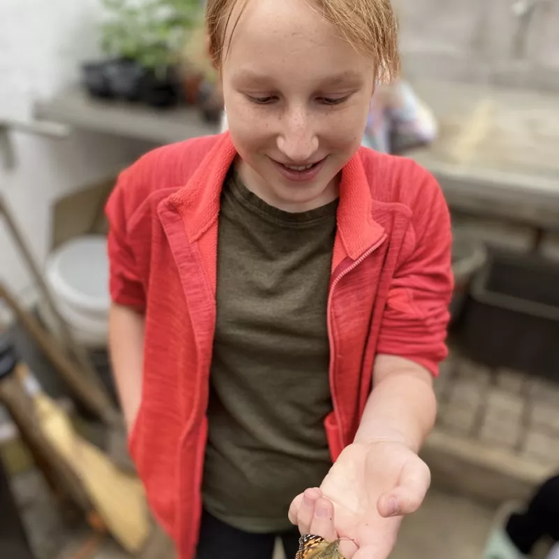 Základní škola Hlučín